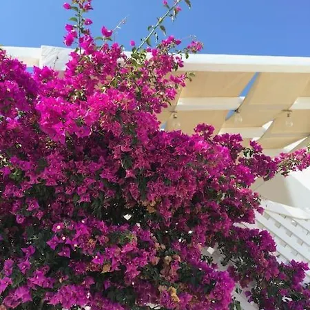 Сasa de vacaciones Elysia House *