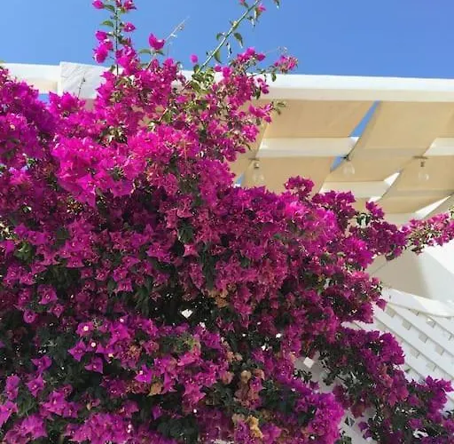 Casa vacanze Elysia House *